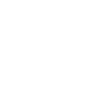 Group 334